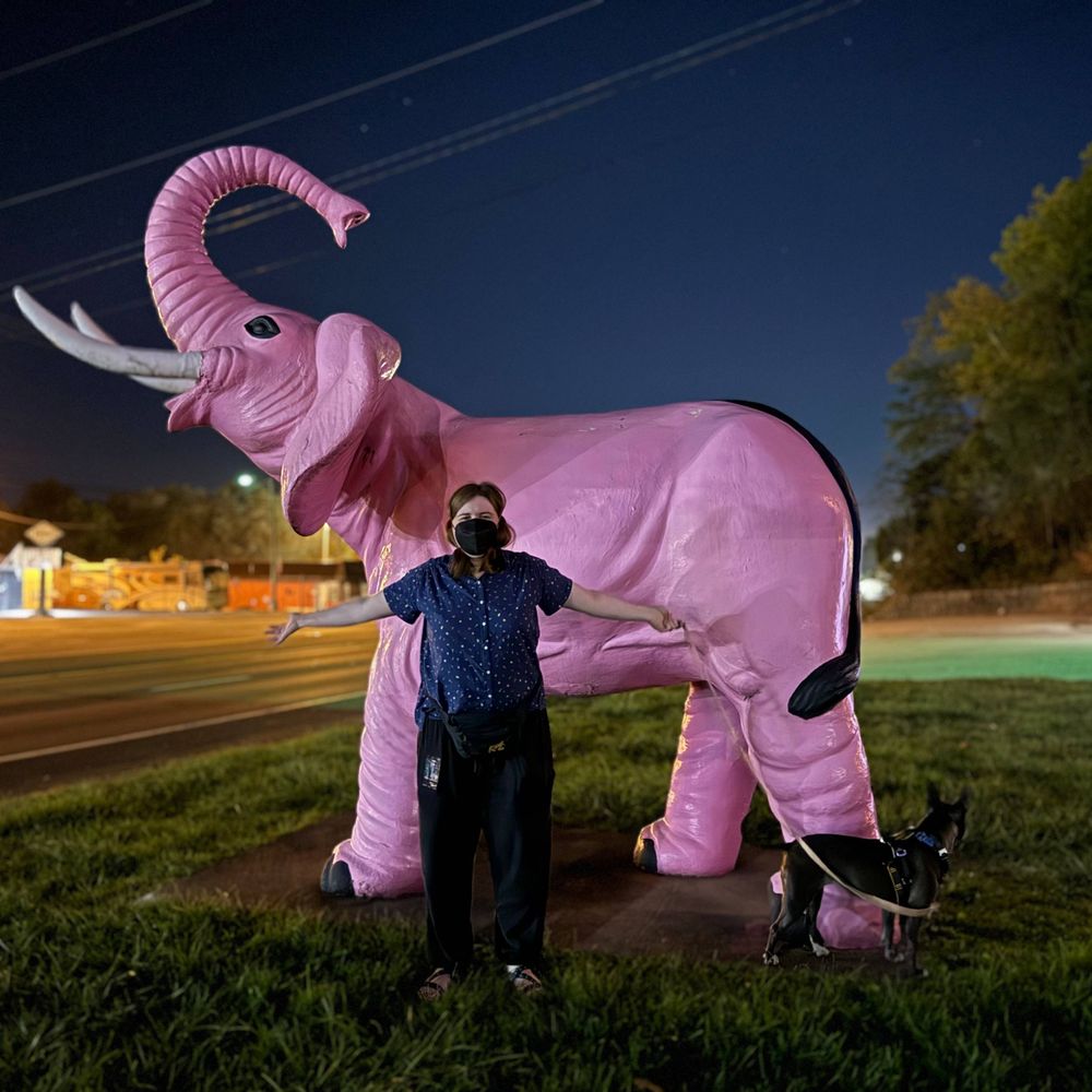 rockyroadbutch.bsky.social