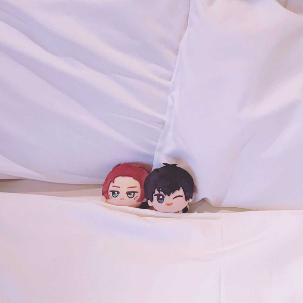しゃけ