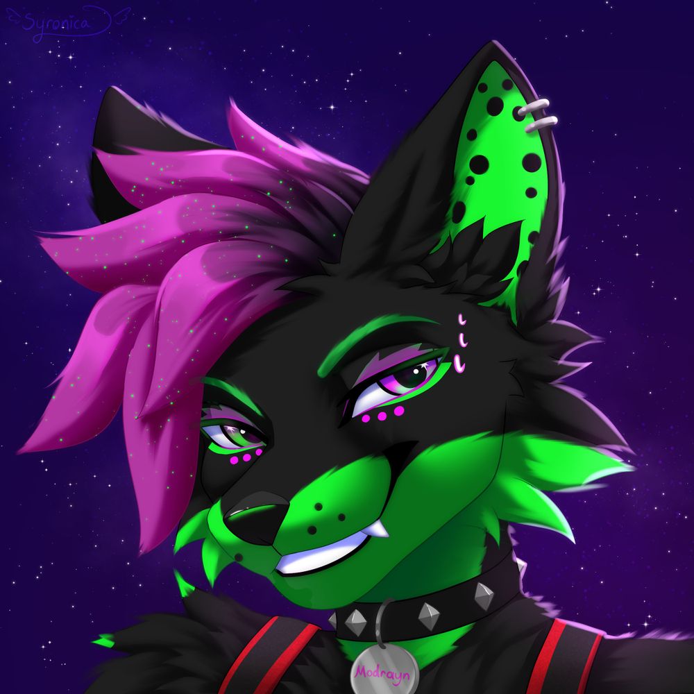 🐾𝙈𝙤𝙙𝙧𝙖𝙮𝙣💥