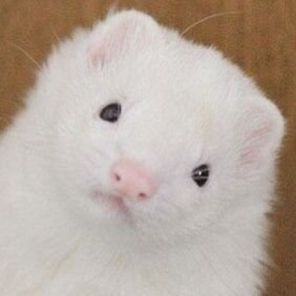 잡초