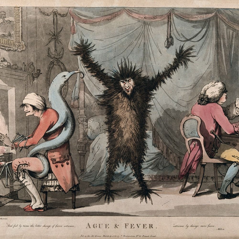 Fever: Global Histories of (a) Disease