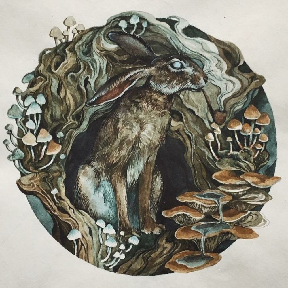 Smoking Hare's avatar