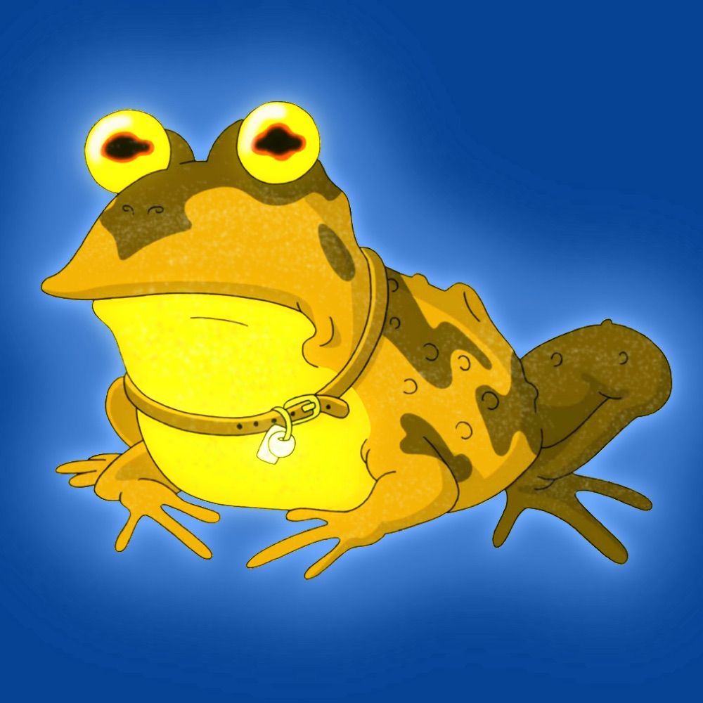 Golden frog studios