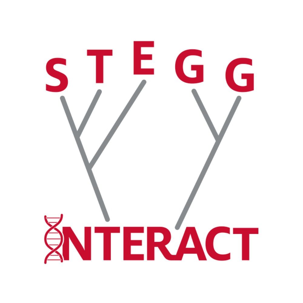 STEGG-INTERACT