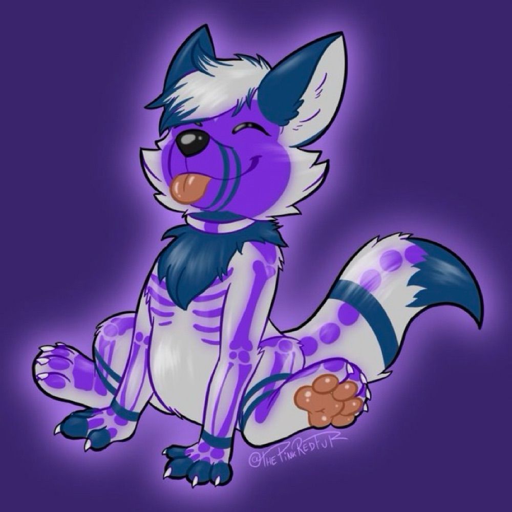 LeonFluffButt -> LIFC25