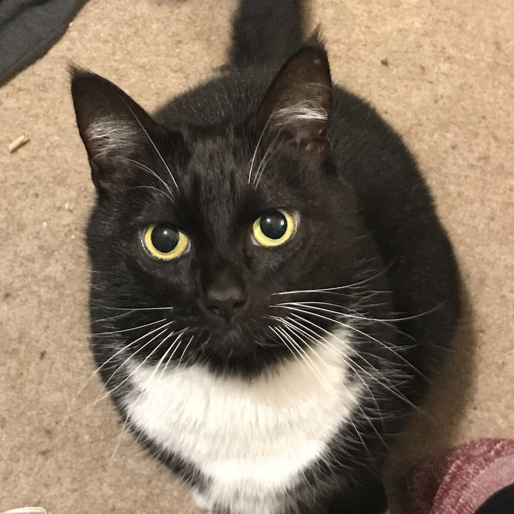 Charlie