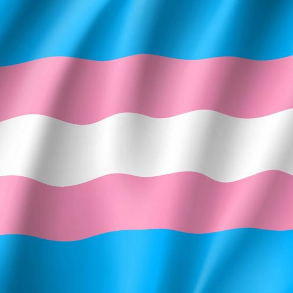 Trans Vinir