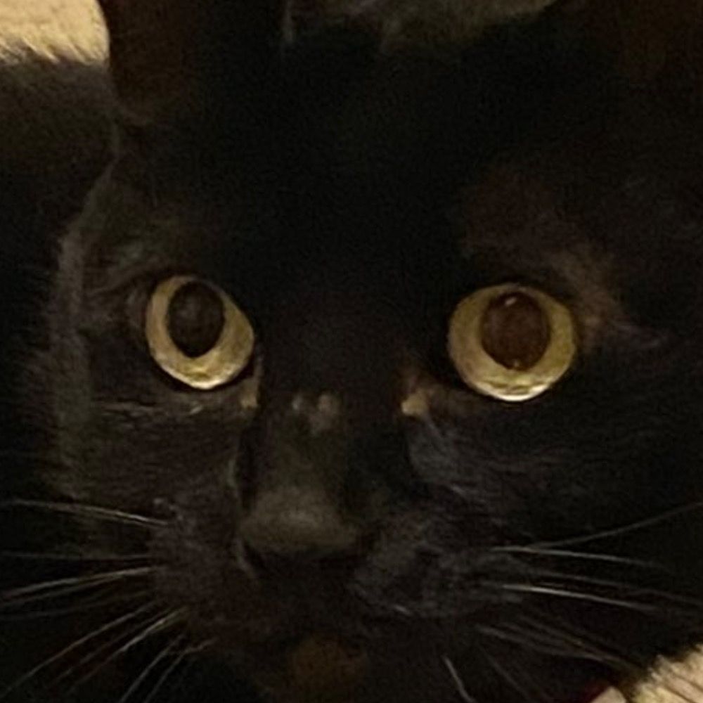 ネロ