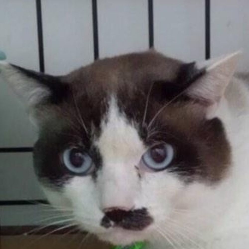沖ノ守