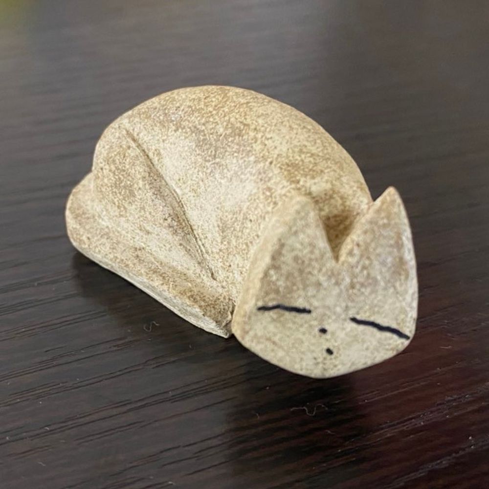 中木光ど