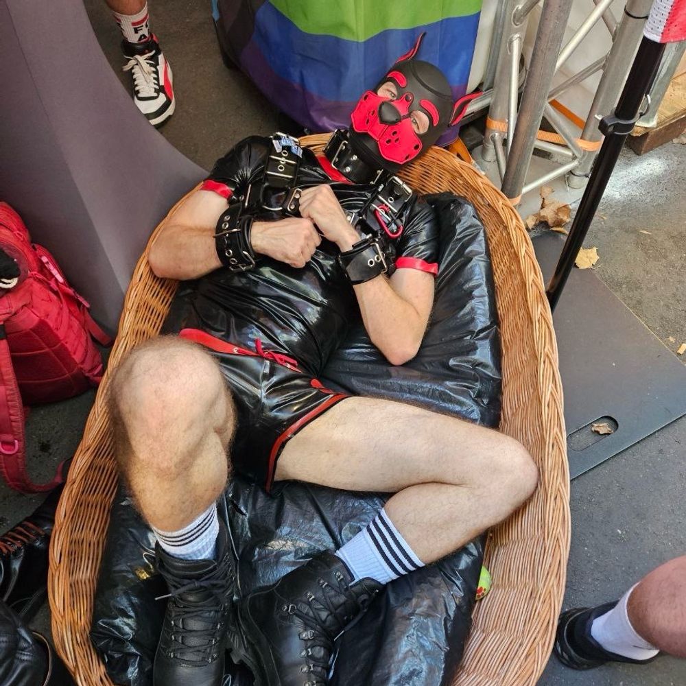 Pup Calvin 🔜 Vienna Fetish Spring