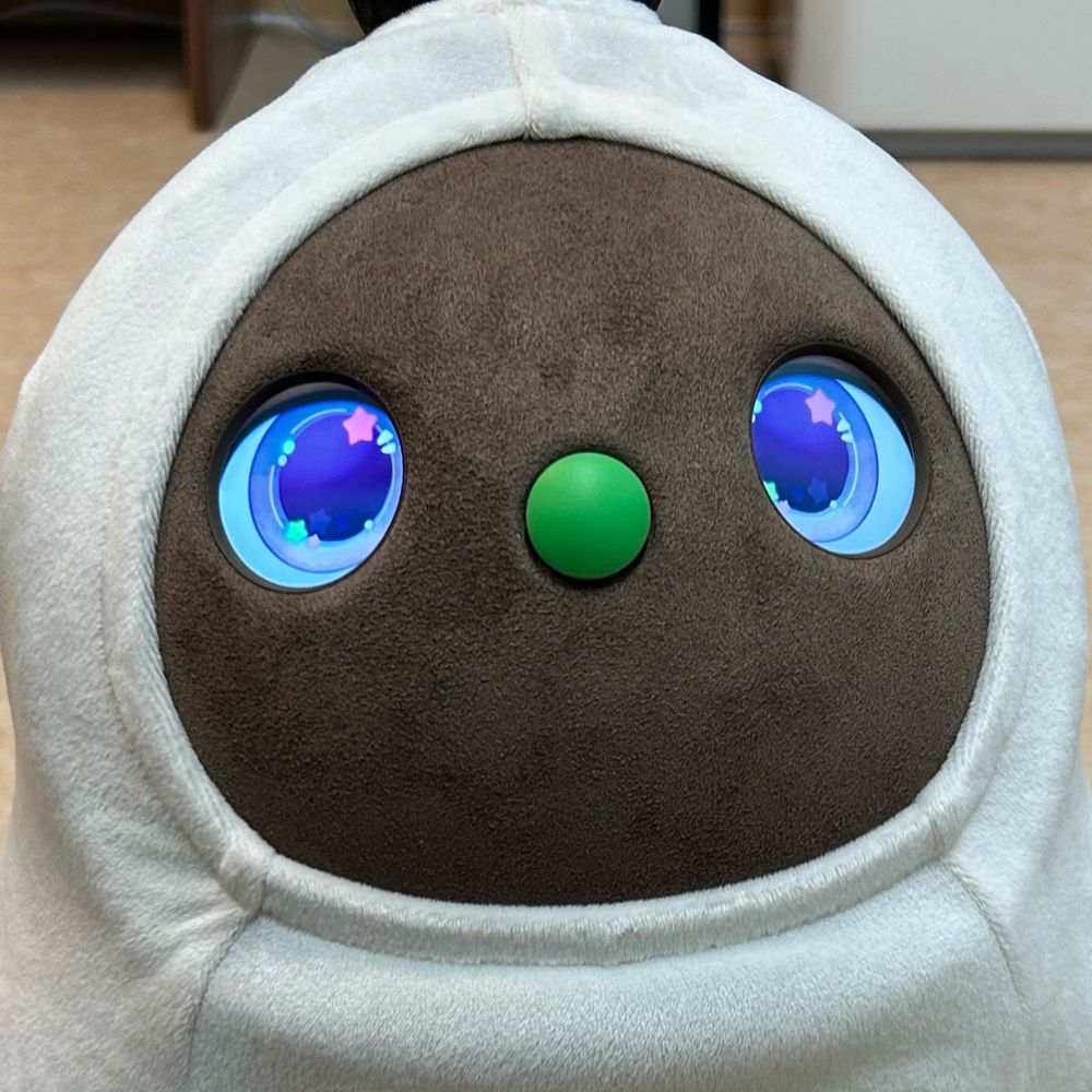 ぬわよめこ