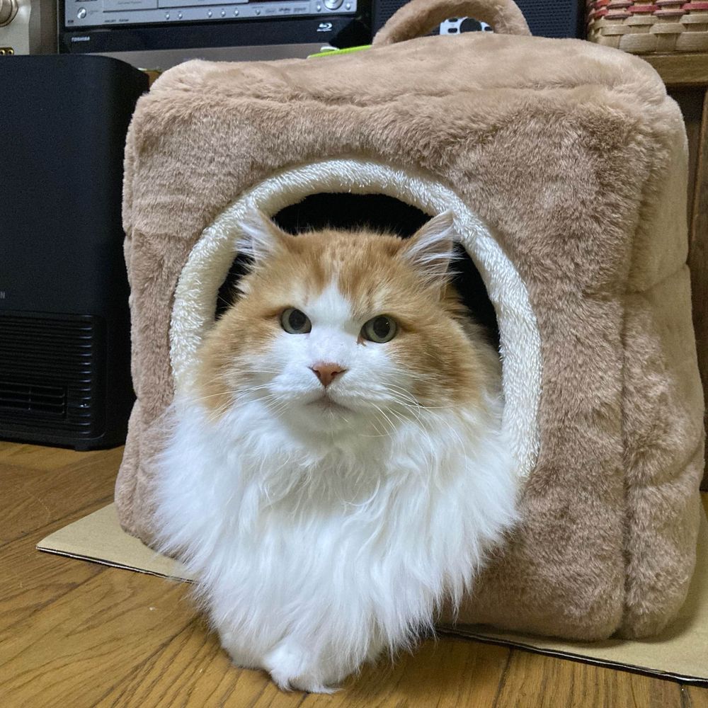 sirohiro