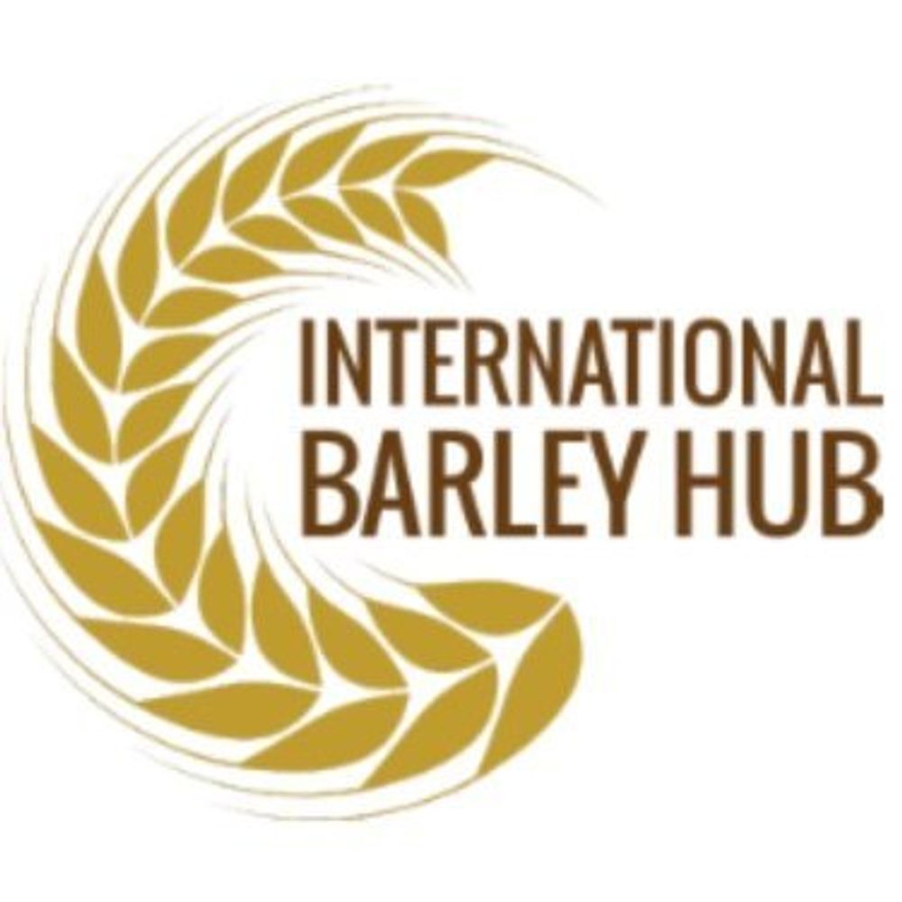International Barley Hub