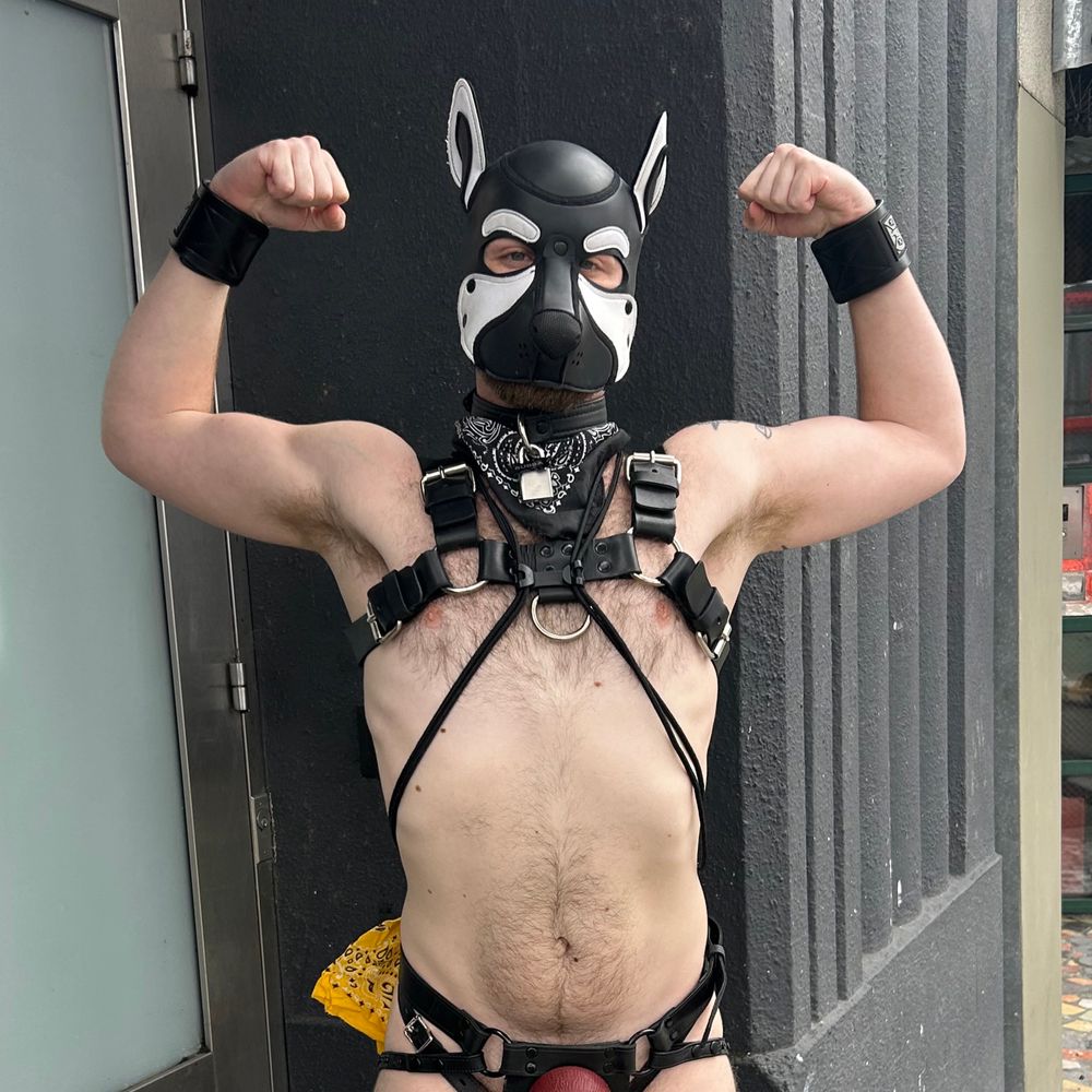 Pup Bubba
