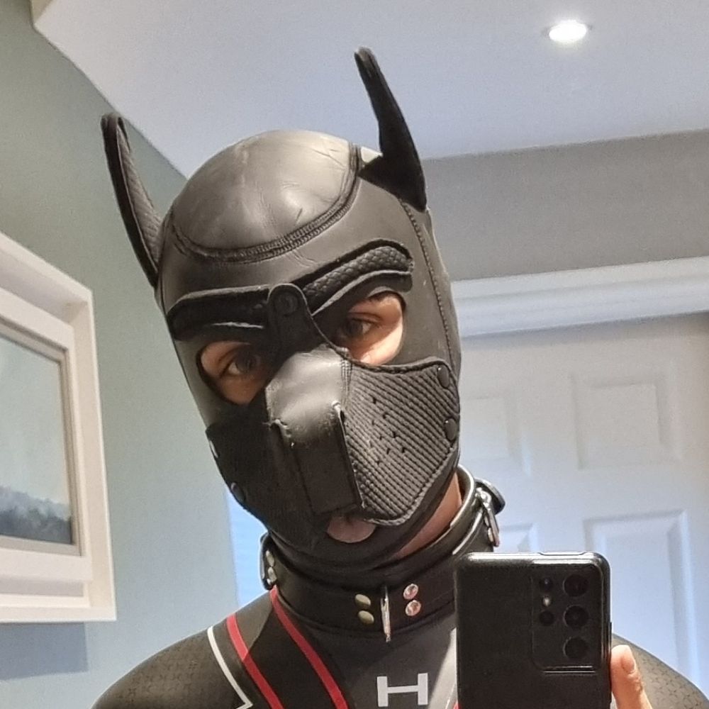 Pup Sonor