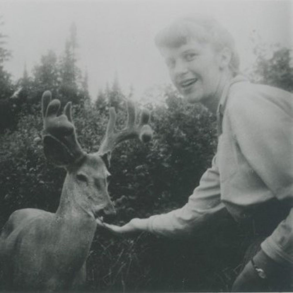 Sylvia Plath Bot