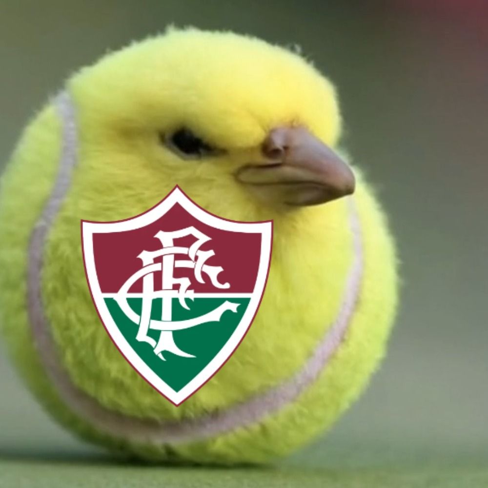 gol da alemanha