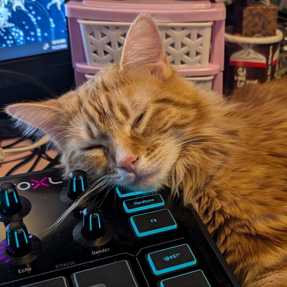 Maple's Story (Orange Cat)