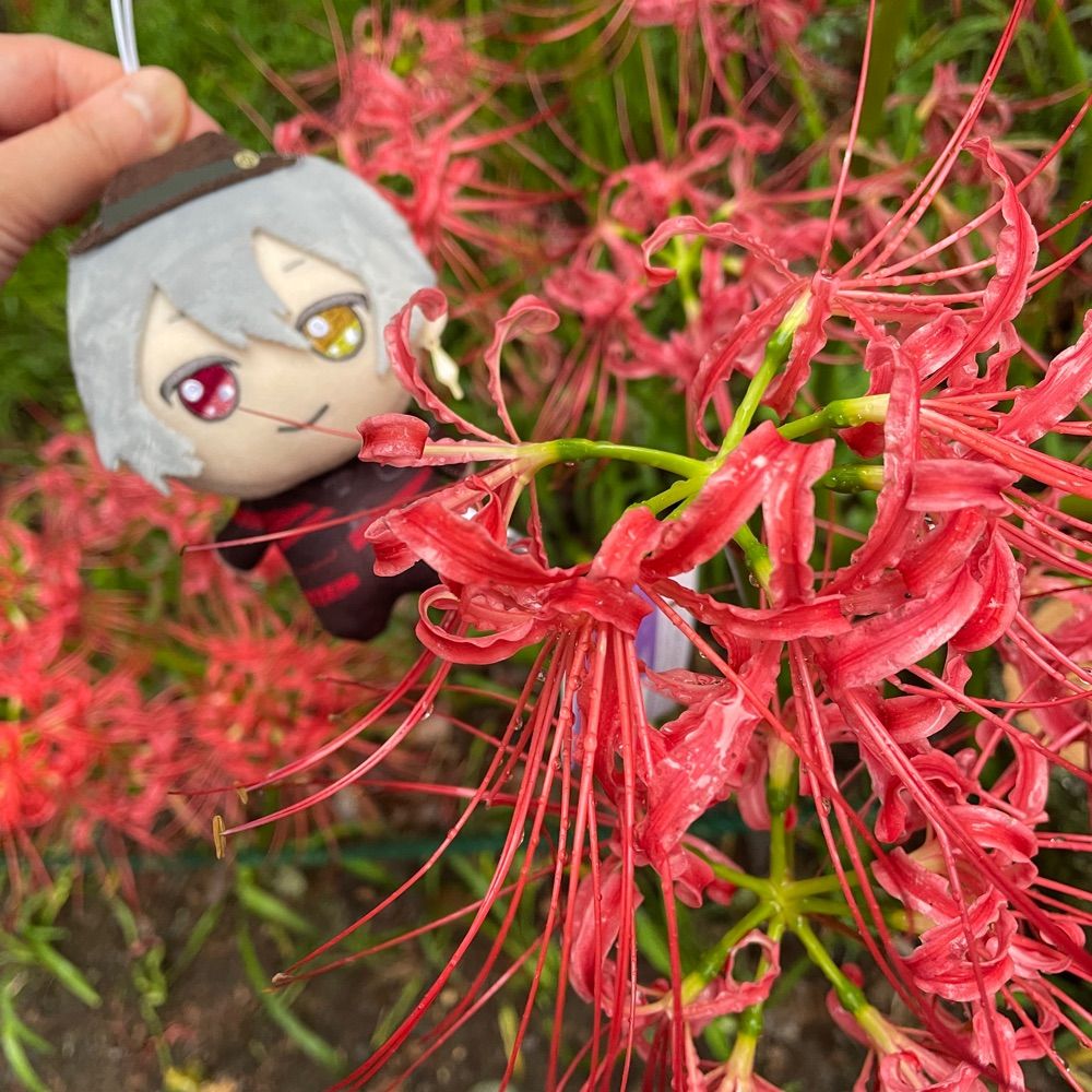 りのぴ