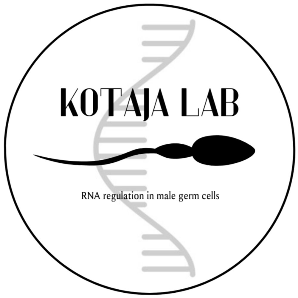 Kotaja Lab