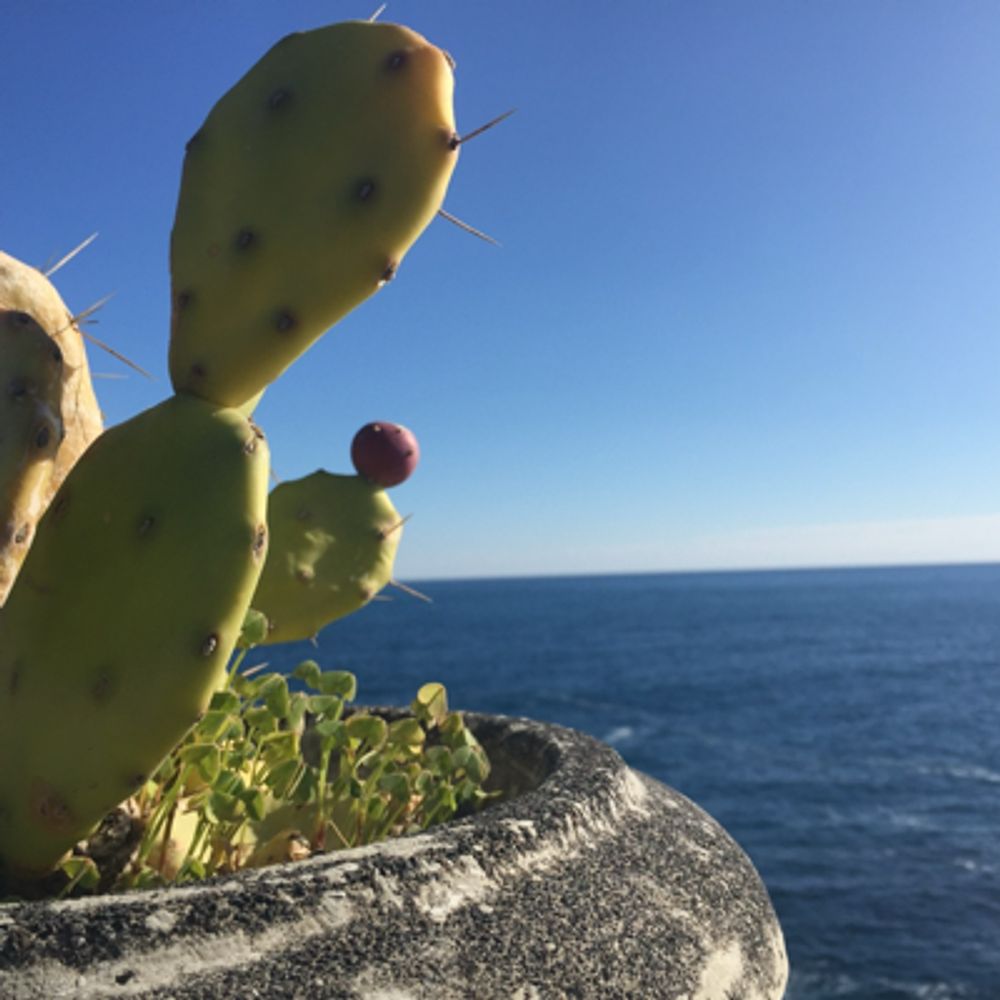 Ciottomate