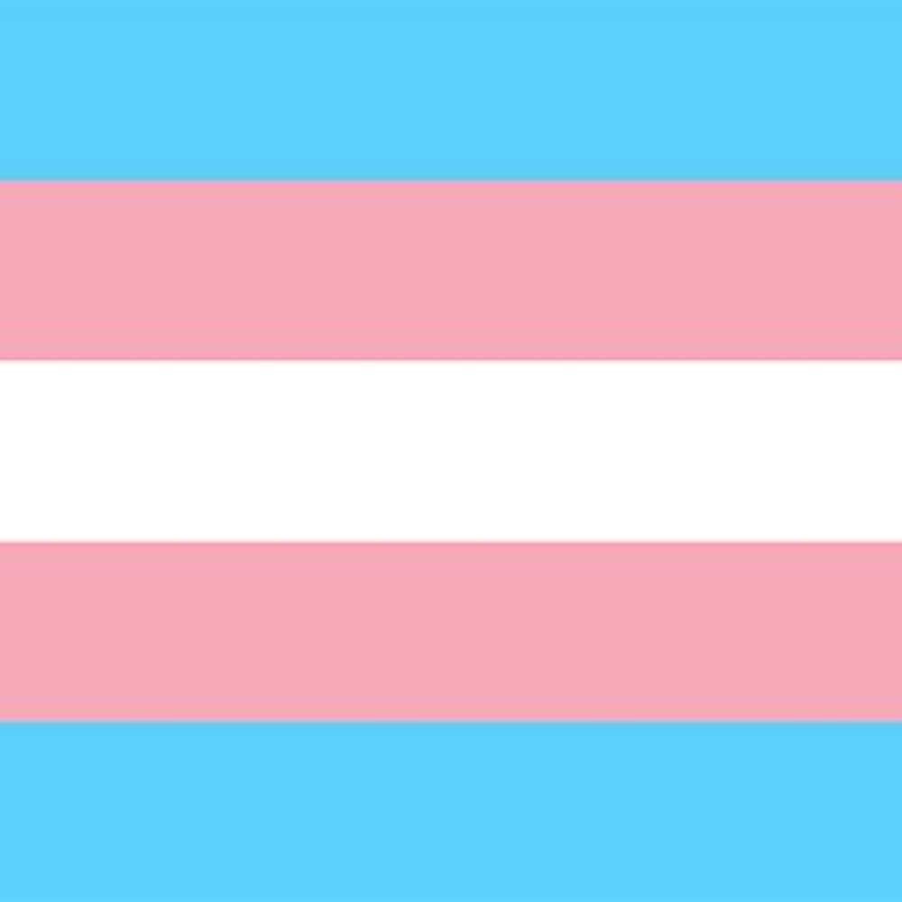 Trans Rights are Human Rights