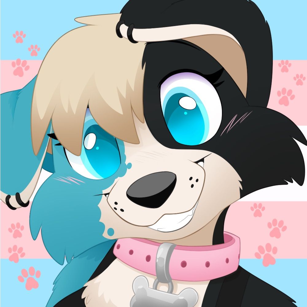 Riley the gay blue dog