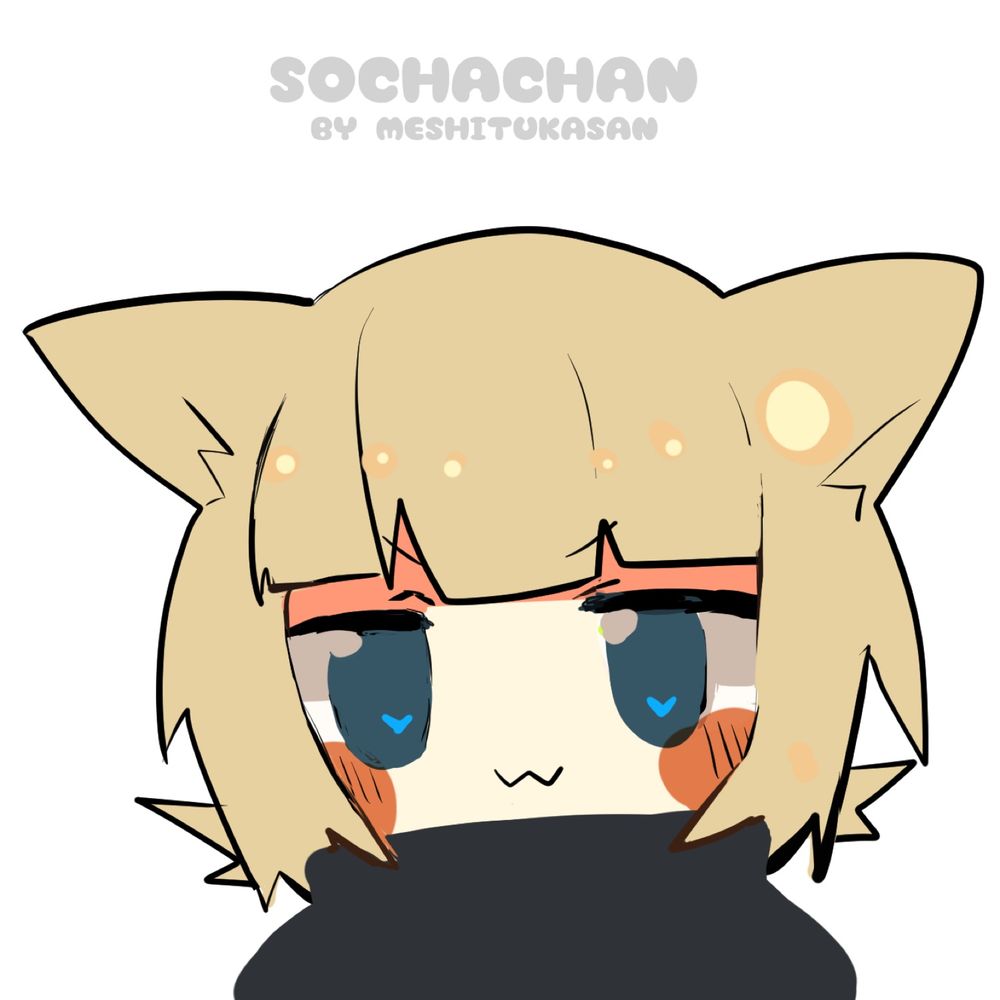 SOCHA