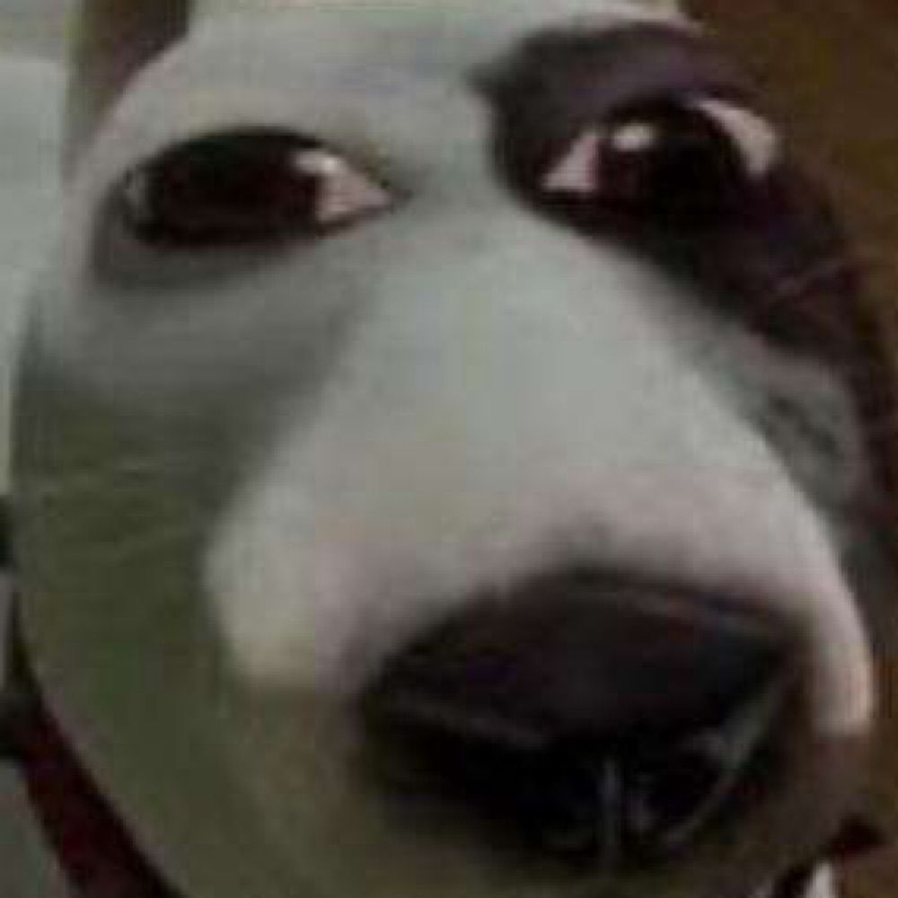 Kango