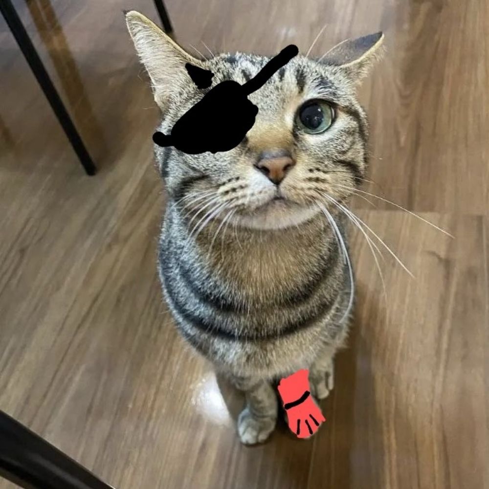 Peter
