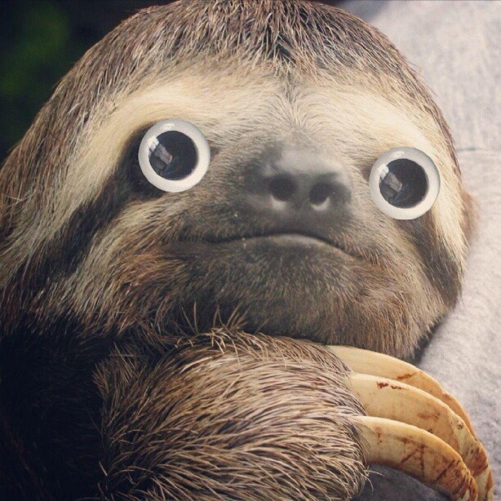 LazerSloth