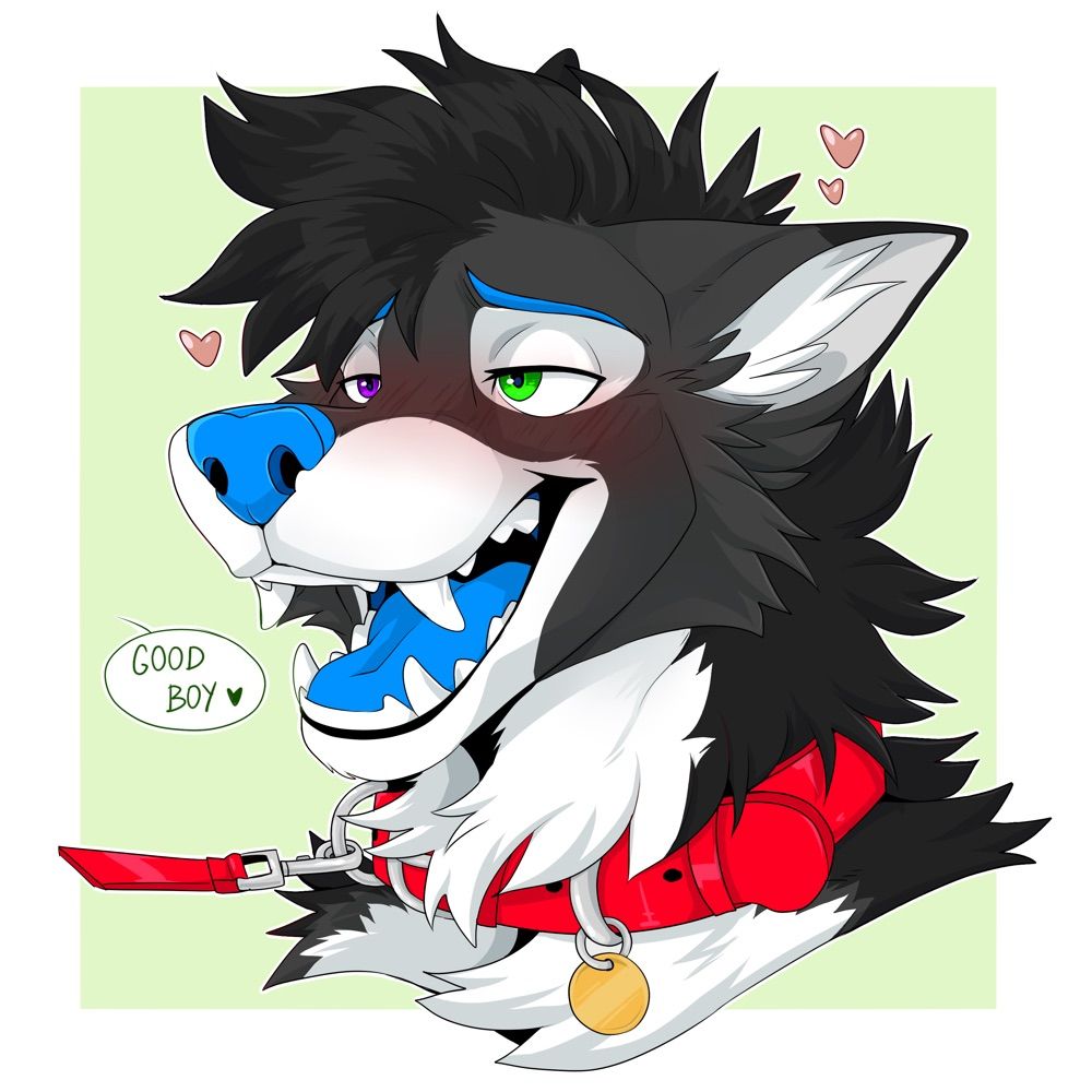 Swolf AD