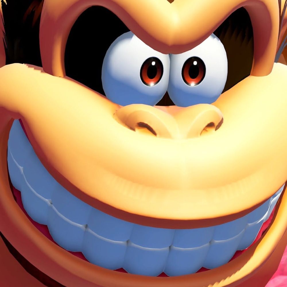 NintendoNitwit🔞