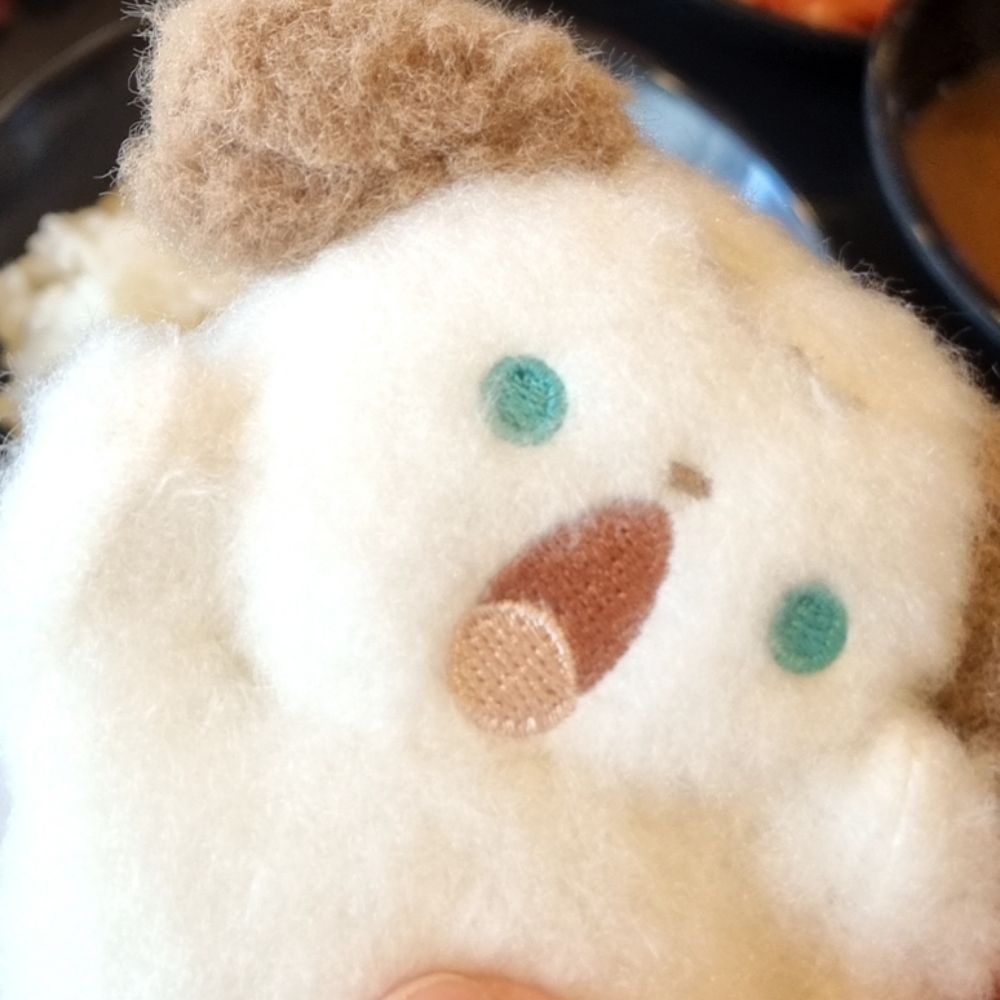 자유