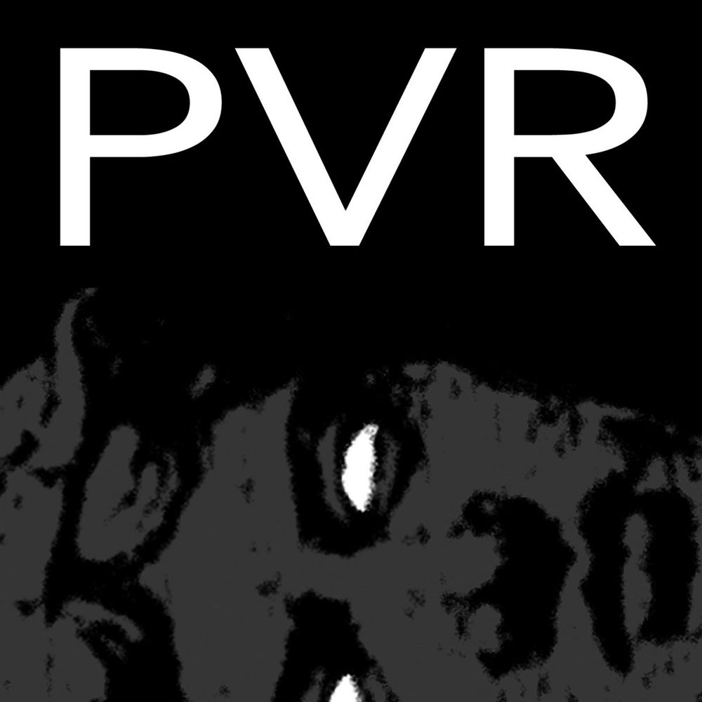 Profile picture pvrecordings.bsky.social