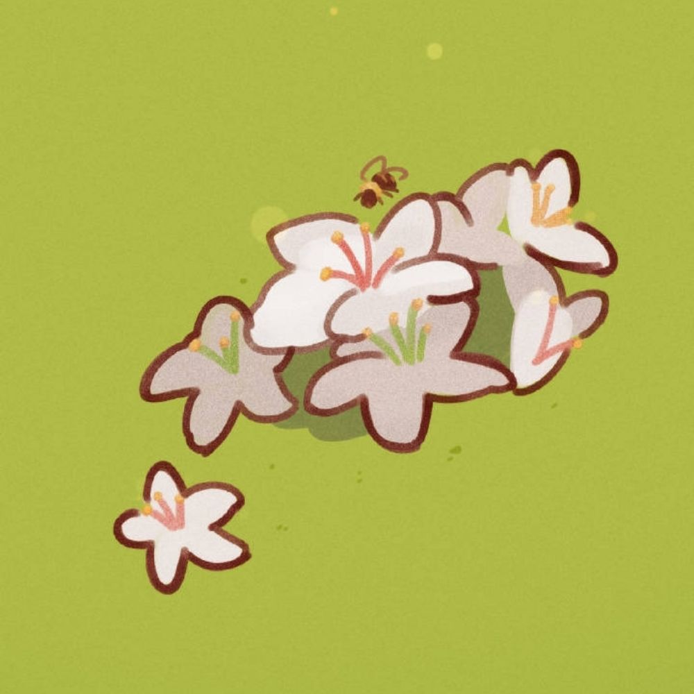 Chen_awa