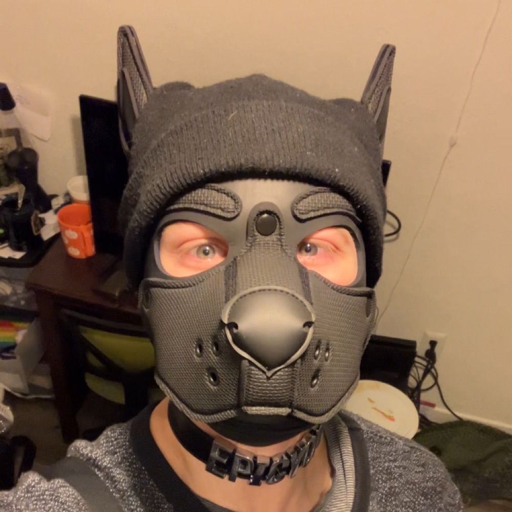 Pup Epicyon