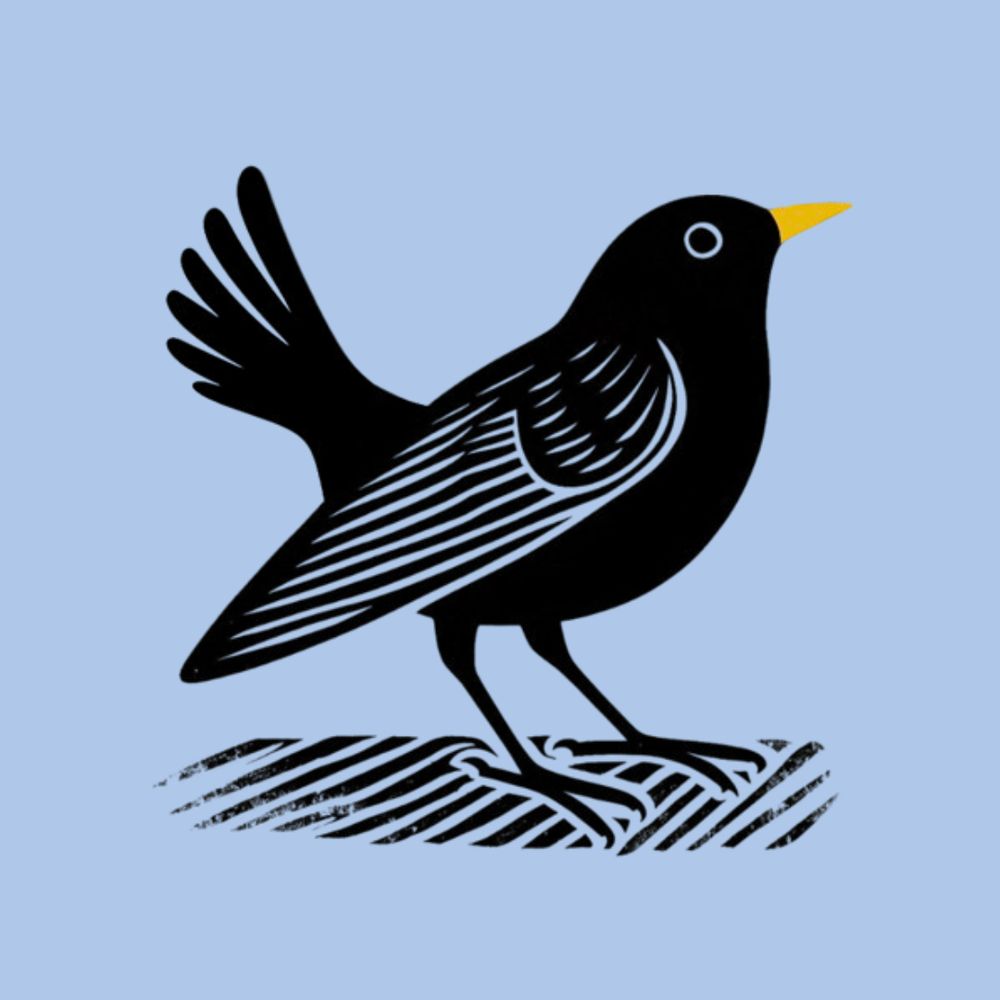 Profile picture daddyblackbird.bsky.social