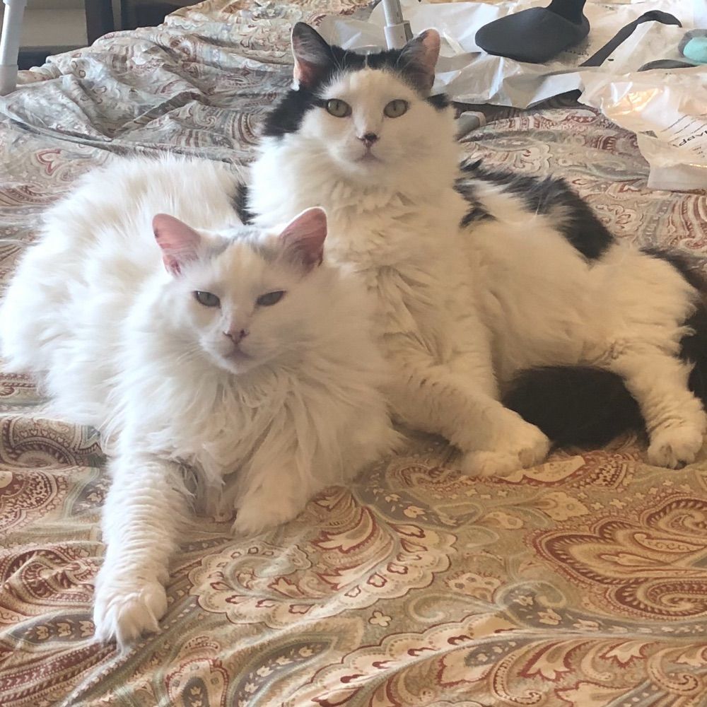 CeCe and Pearl