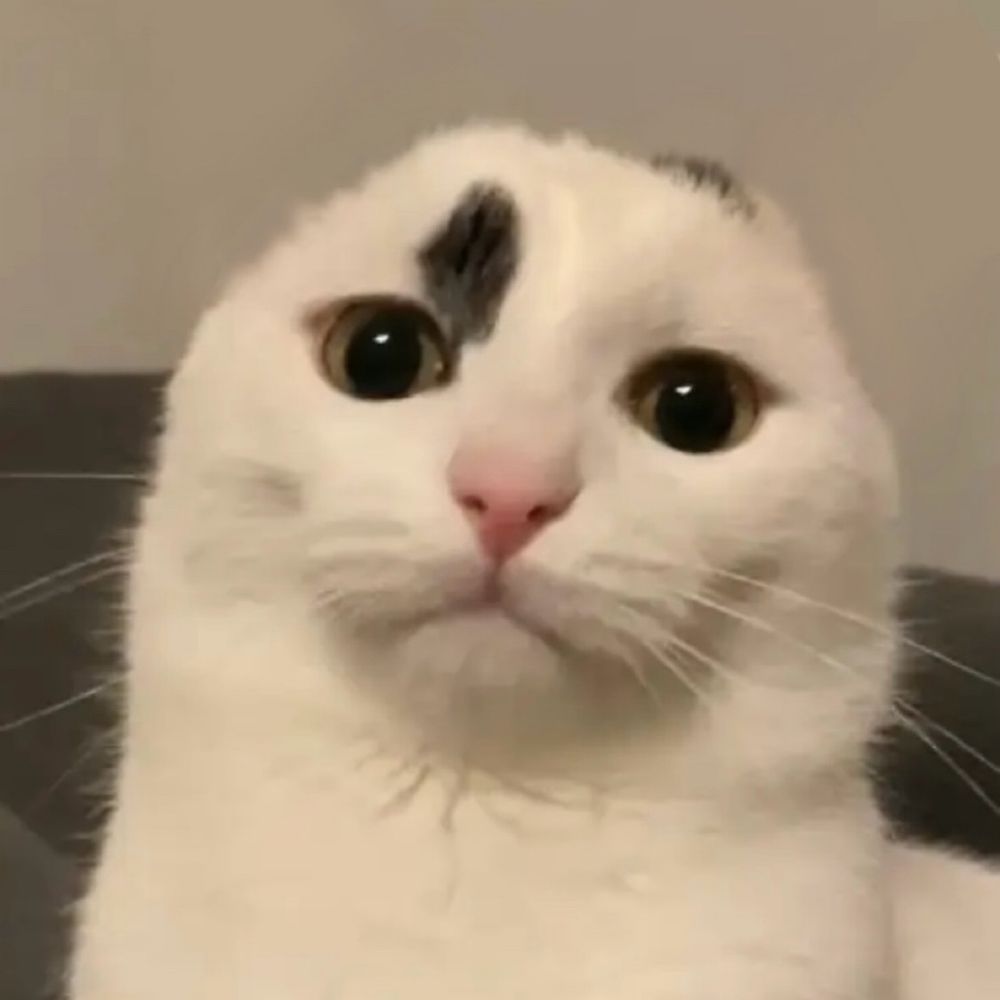 clemothy
