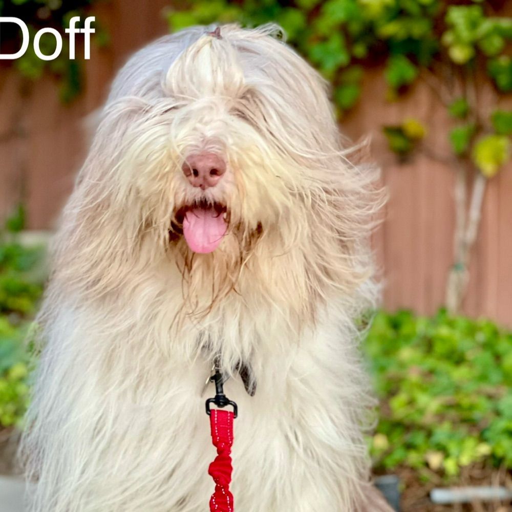 Doff
