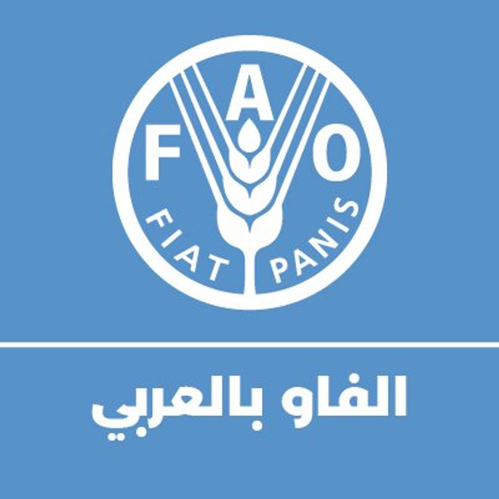 الفاو بالعربي
