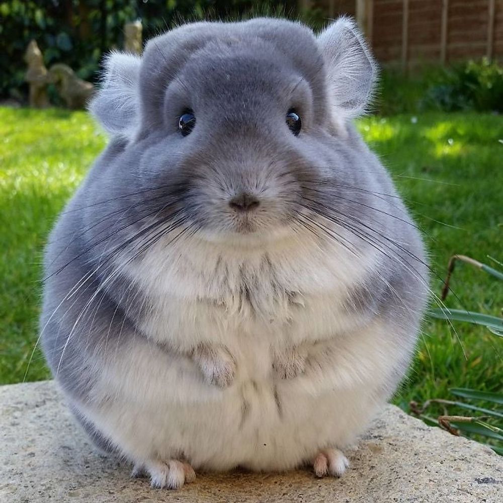 Diego :)
