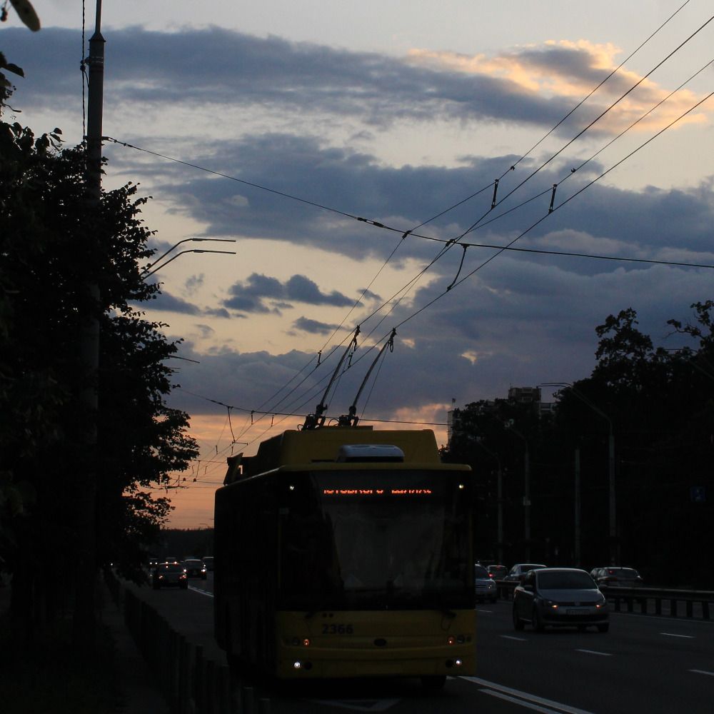 skodnik