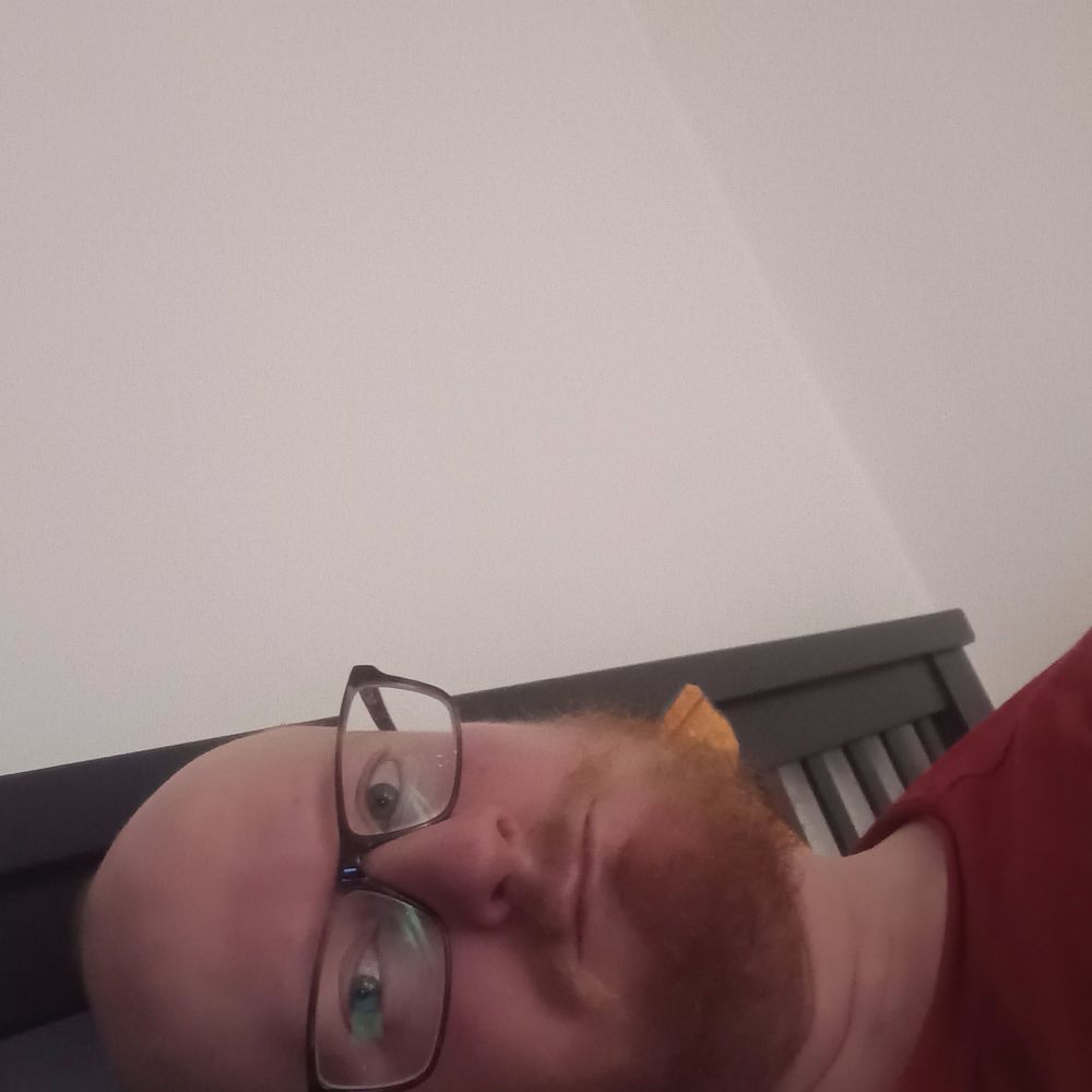 Not Dave