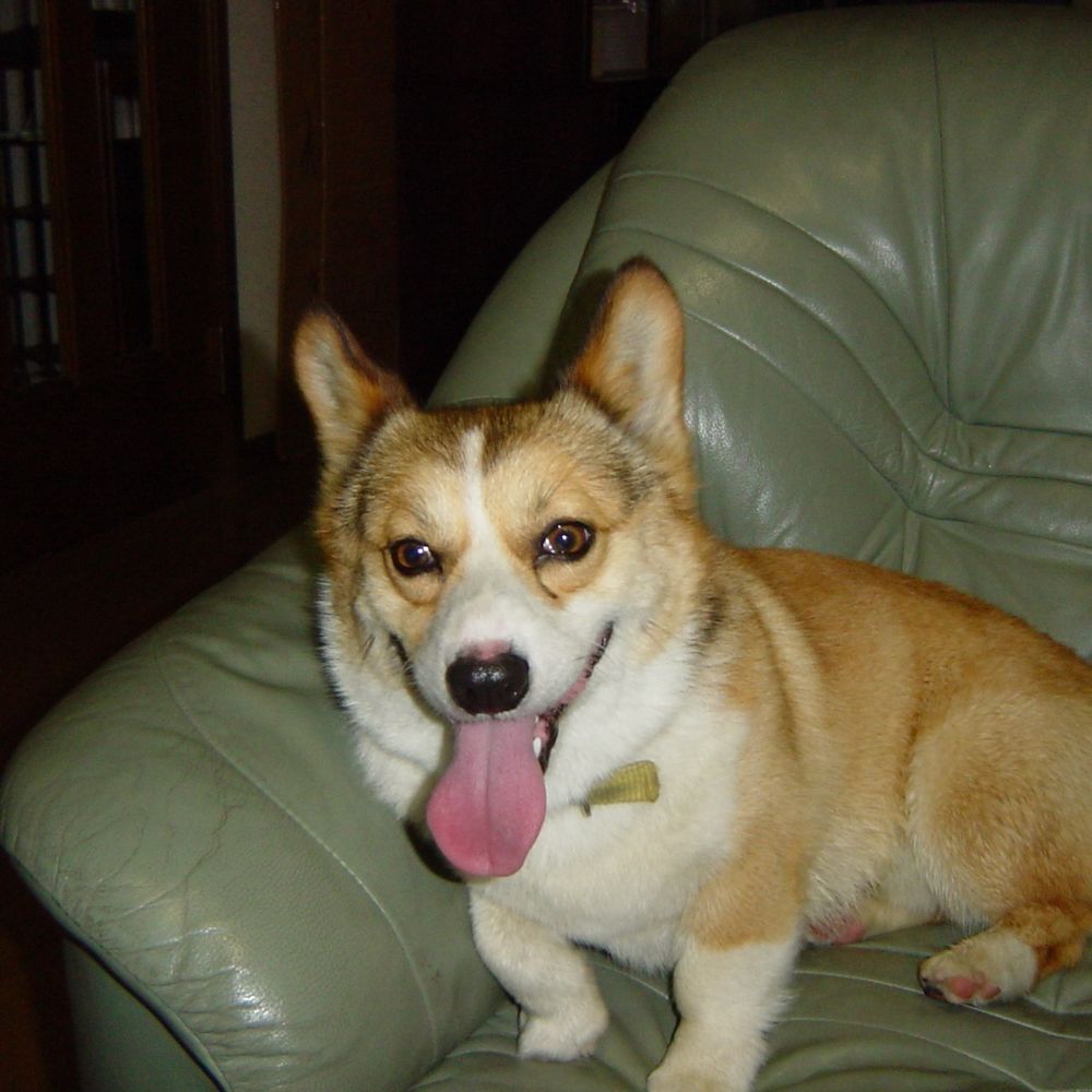 max