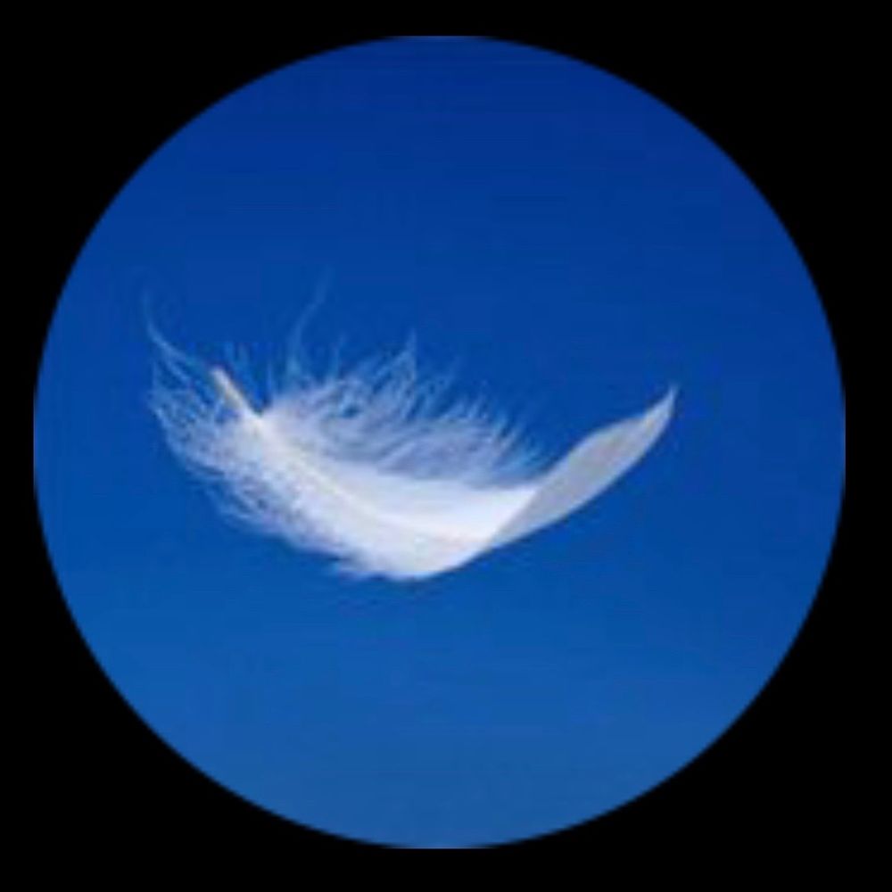 Featheronthebreath💙's avatar