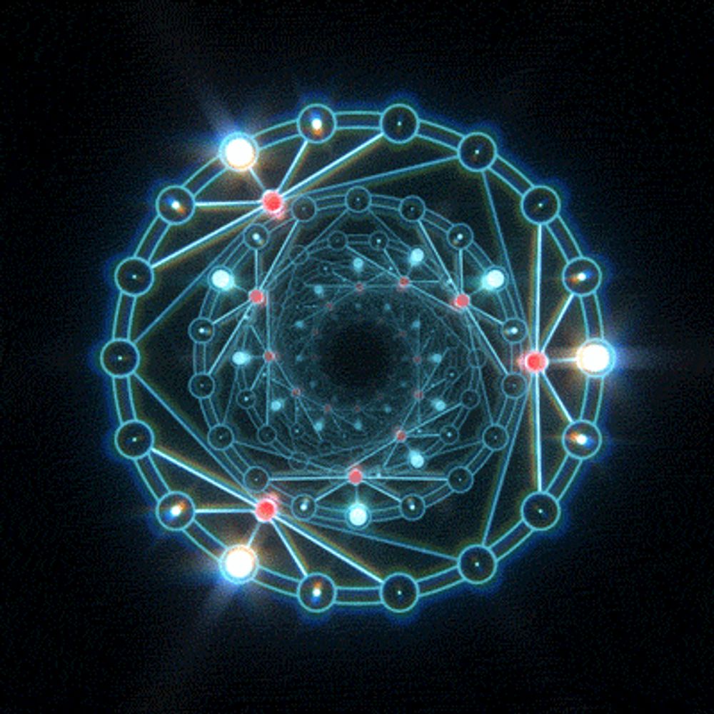 polybi