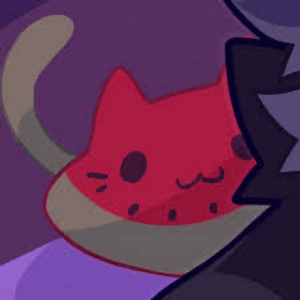 watermelon cat